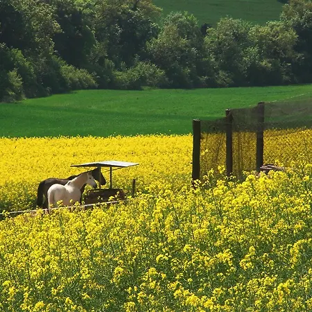 Cal Carulla Casa de Campo *